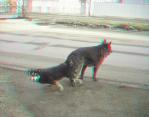 3D снимка 