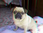 3D снимка 