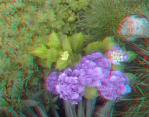 3D снимка 