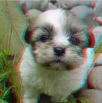 3D снимка 