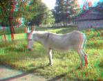 3D снимка 