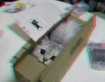 3D снимка 