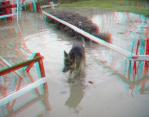 3D снимка 