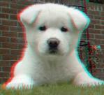 3D снимка 